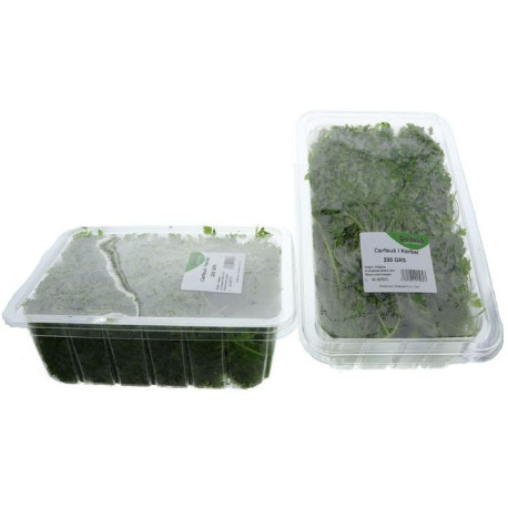 CERFEUIL GROSBUSCH 4X200G